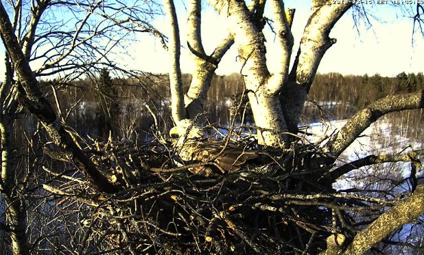 2010-03-15_154630.jpg