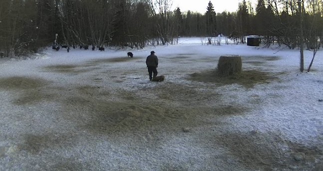 2010-03-15_163802.jpg