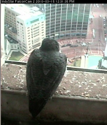 2010-03-15_173243.jpg