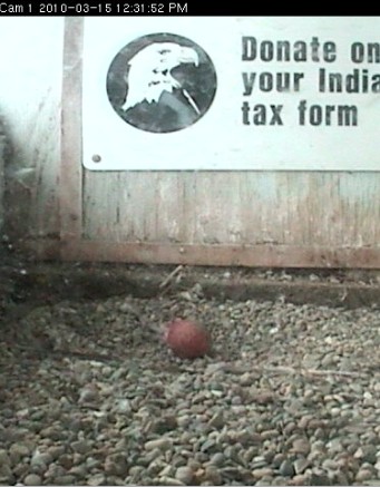 2010-03-15_173253.jpg