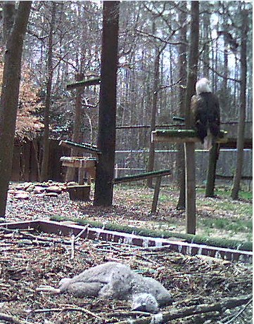 2010-03-15_184203.jpg