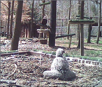 2010-03-15_194437.jpg