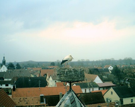 2010-03-16_075137.jpg