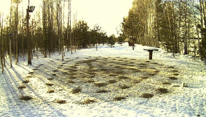 2010-03-16_151201.jpg