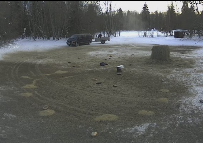 2010-03-16_154553.jpg