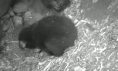2010-03-16_194534.jpg
