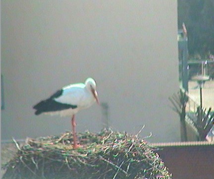 2010-03-17_134041.jpg