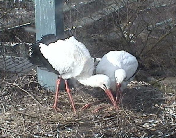 2010-03-17_134447.jpg