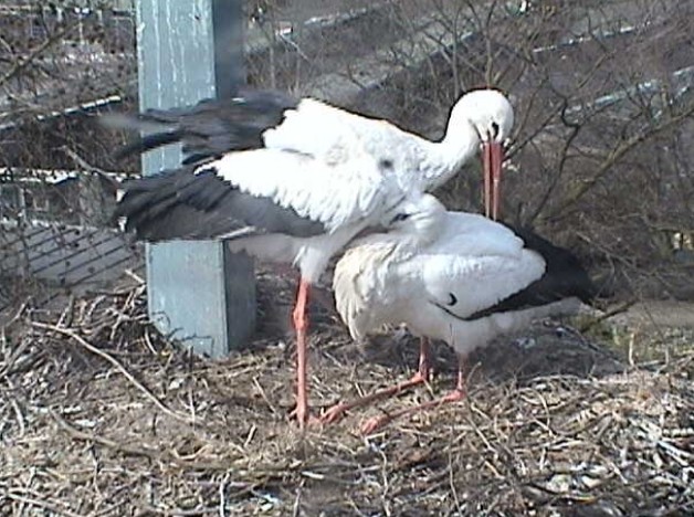 2010-03-17_134506.jpg
