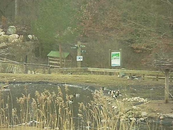 2010-03-17_170720.jpg