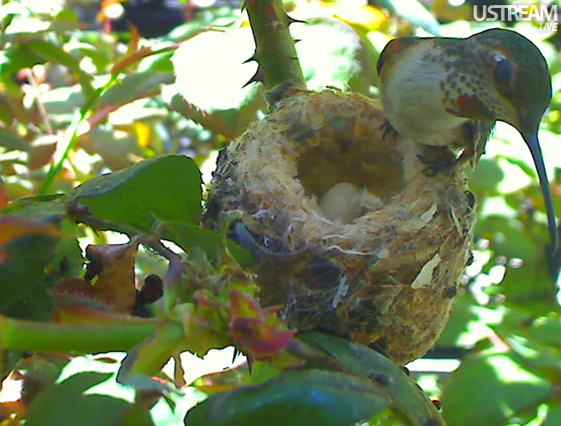 2010-03-17_215359.png