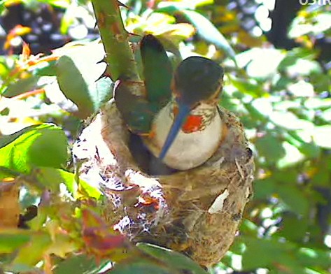 2010-03-17_233726.jpg