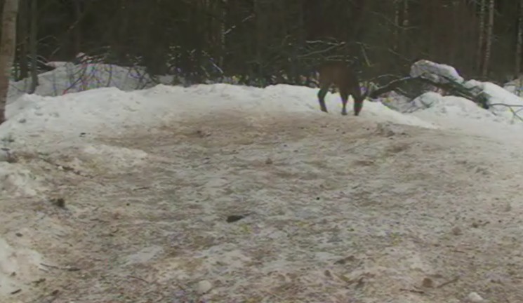 2010-03-18_065036.jpg