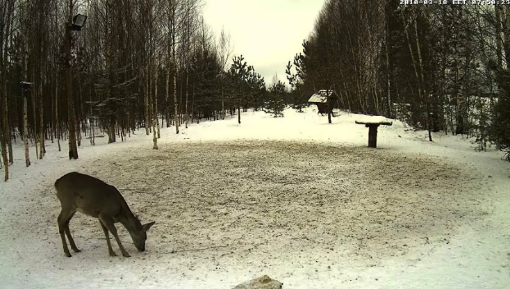 2010-03-18_065059.jpg