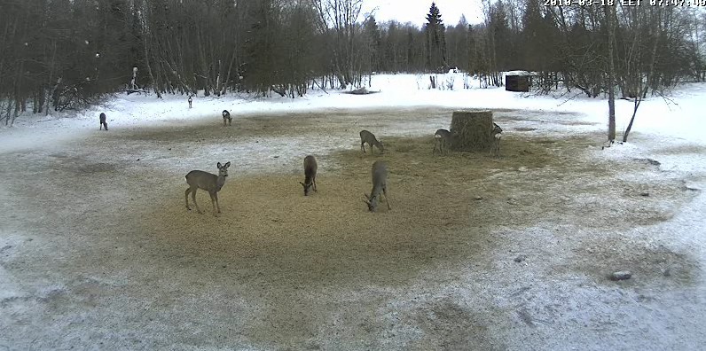 2010-03-18_065133.jpg