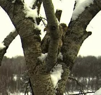 2010-03-18_070920.jpg