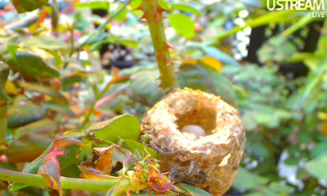 2010-03-18_155423.png