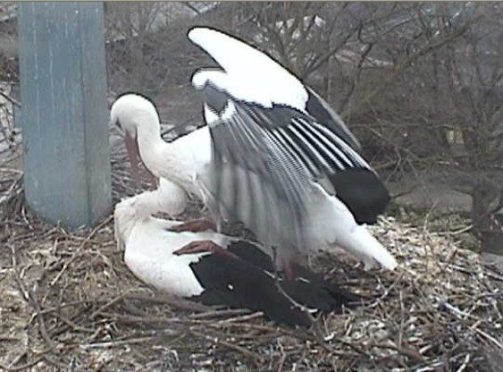 2010-03-19_080858.jpg