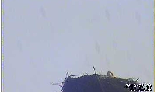2010-03-20_070645.jpg