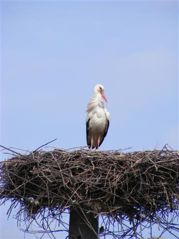 DSCF9011 (Small).JPG