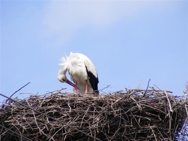 DSCF9002 (Small).JPG