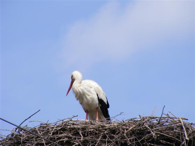 DSCF9003 (Small).JPG