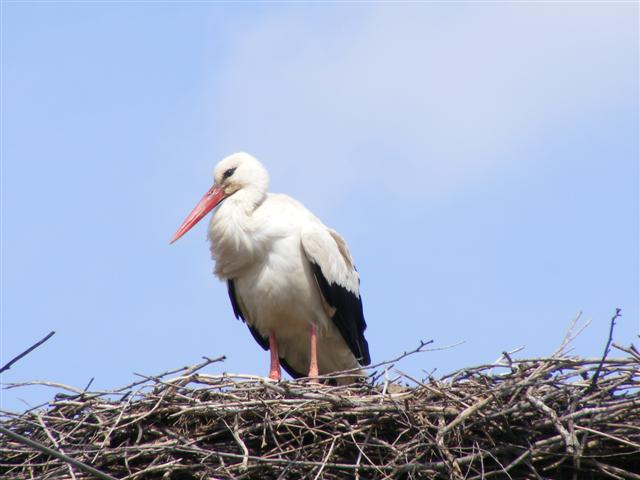 DSCF9004 (Small).JPG