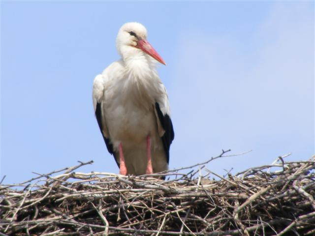 DSCF9005 (Small).JPG