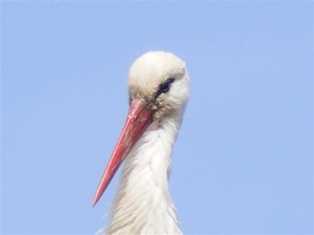 DSCF9007 (Small).JPG