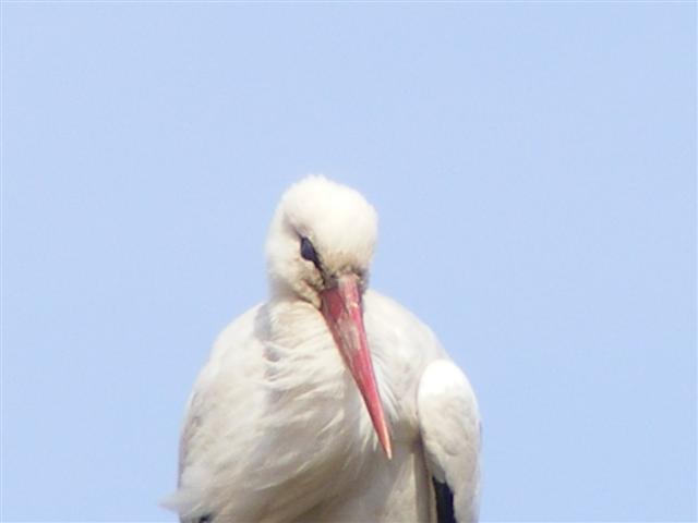 DSCF9008 (Small).JPG
