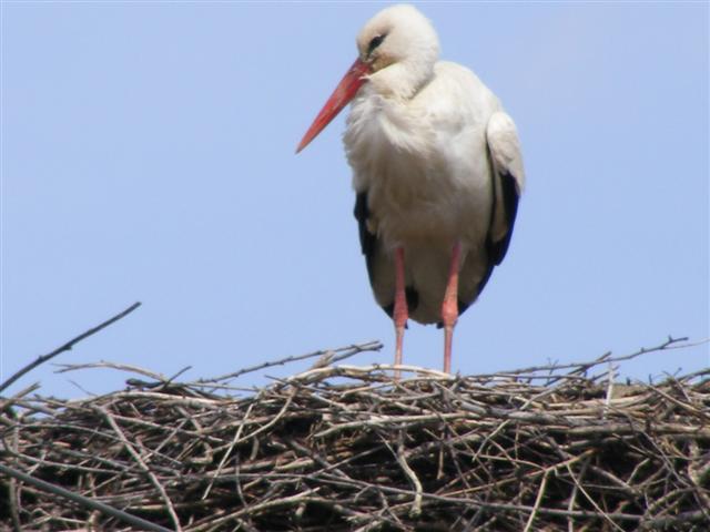 DSCF9009 (Small).JPG