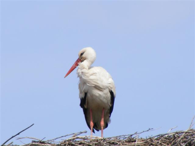 DSCF9010 (Small).JPG