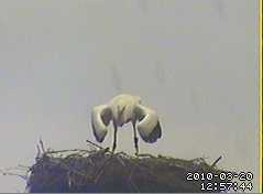 2010-03-20_130015.png