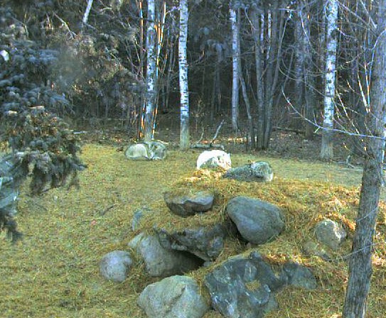 2010-03-20_151903.jpg