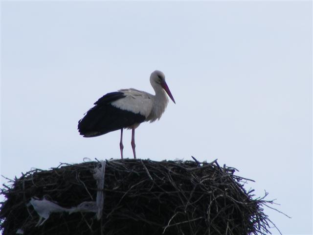 DSCF9012 (Small).JPG