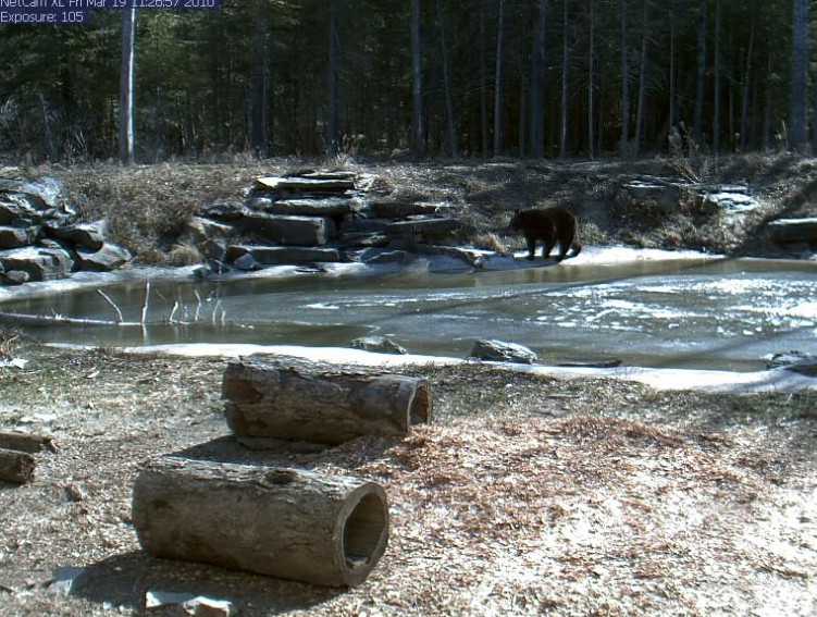 2010-03-20_172342.jpg