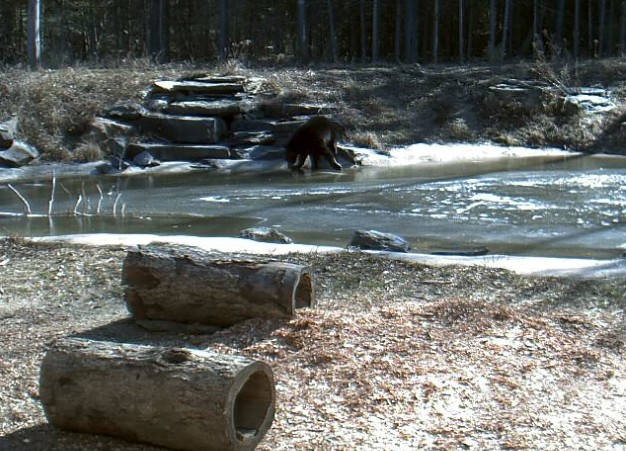 2010-03-20_172531.jpg