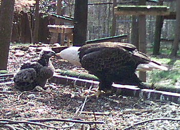 2010-03-20_210849.jpg