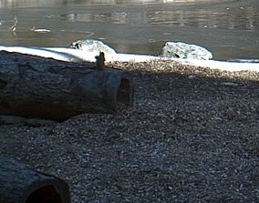 2010-03-20_232915.jpg