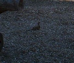 2010-03-20_232856.jpg