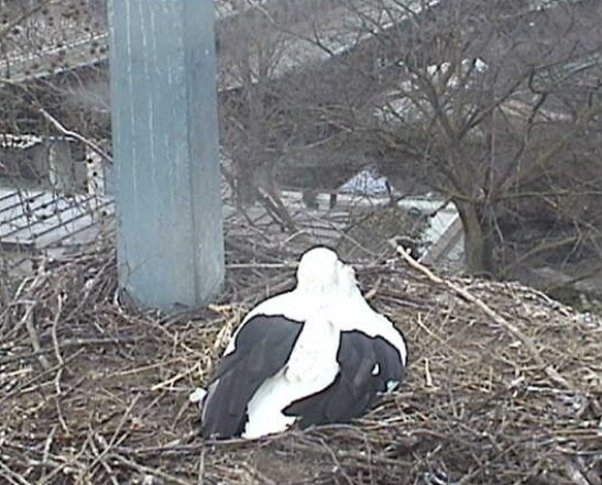 2010-03-21_174641.jpg