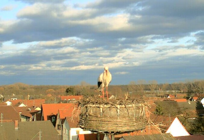 2010-03-21_180048.jpg