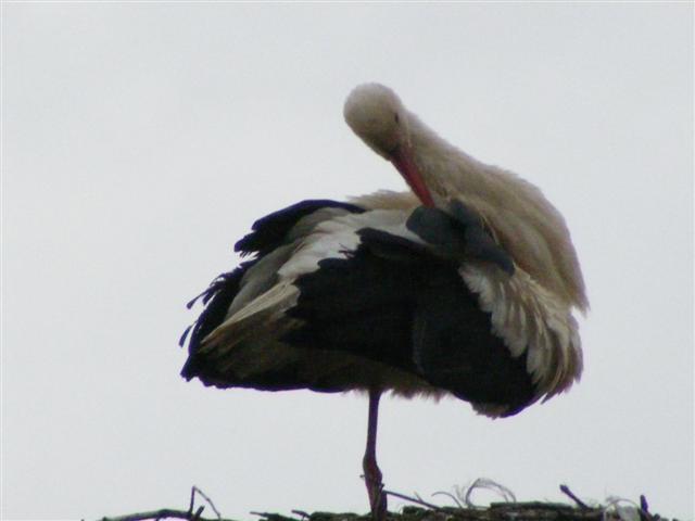 DSCF9058 (Small).JPG