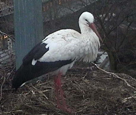 2010-03-22_062041.jpg