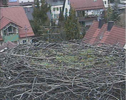 2010-03-22_122750.png
