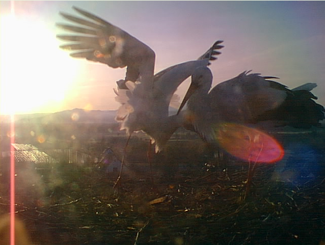 2010-03-22_125856.png
