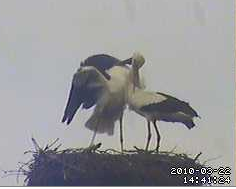 2010-03-22_144359.png