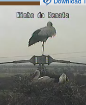 2010-03-22_175549.png