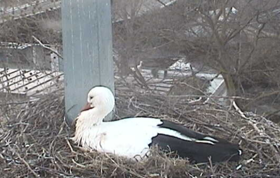 2010-03-22_183154.png