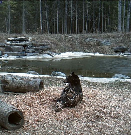 2010-03-22_210205.jpg